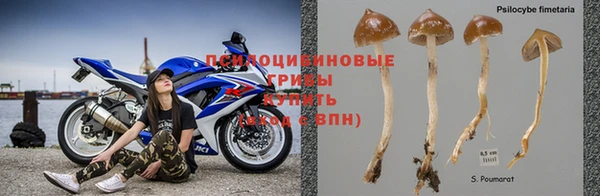 марихуана Горнозаводск