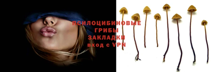 mdpv Гусь-Хрустальный