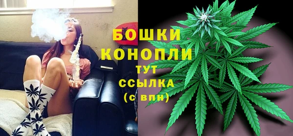 стаф Горно-Алтайск