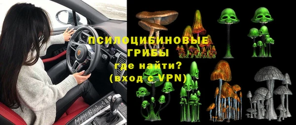 стаф Горно-Алтайск