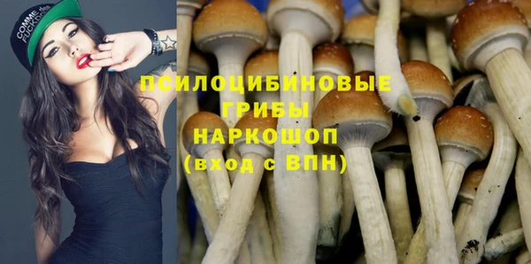 прущий лед Горняк