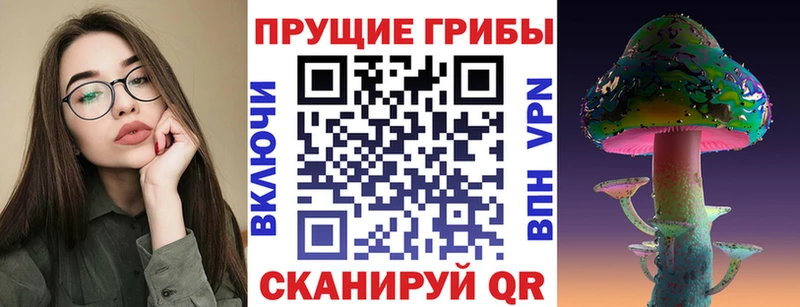 наркота  kraken ONION  Псилоцибиновые грибы мицелий  Моршанск 
