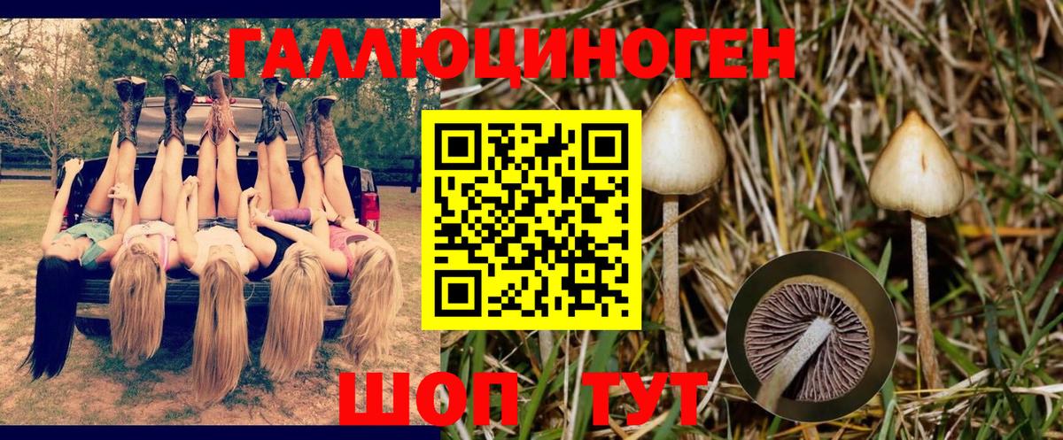 Галлюциногенные грибы GOLDEN TEACHER  Псилоцибиновые грибы Magic Shrooms  Моршанск 