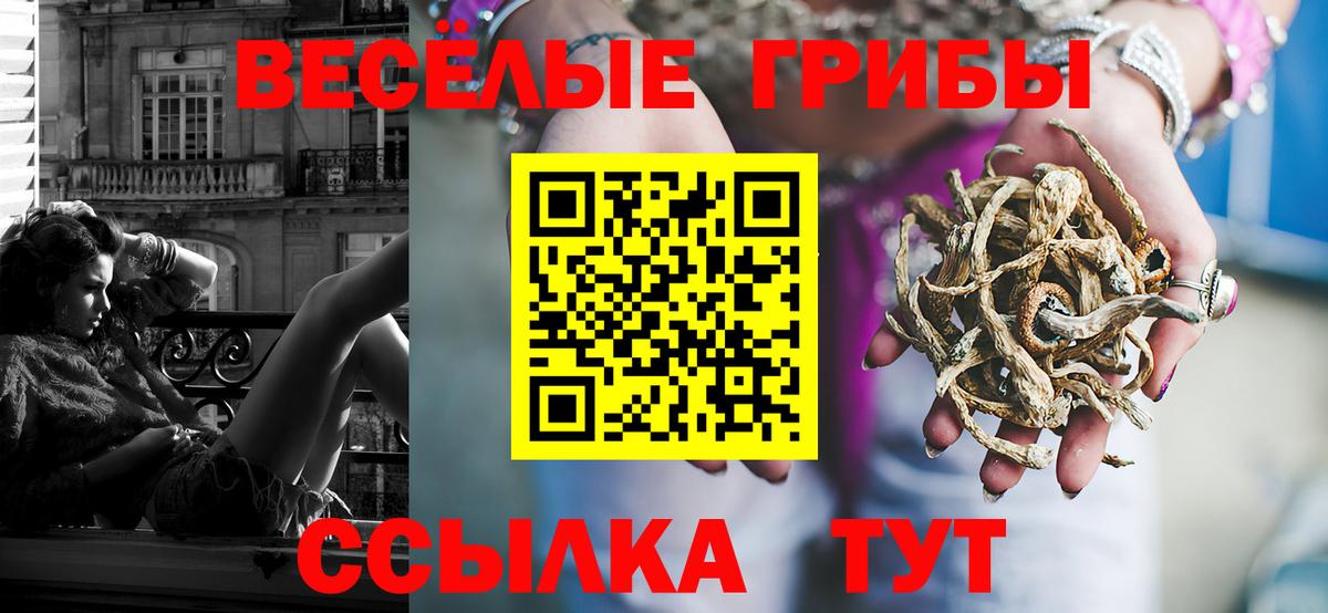 Псилоцибиновые грибы Psilocybine cubensis Моршанск