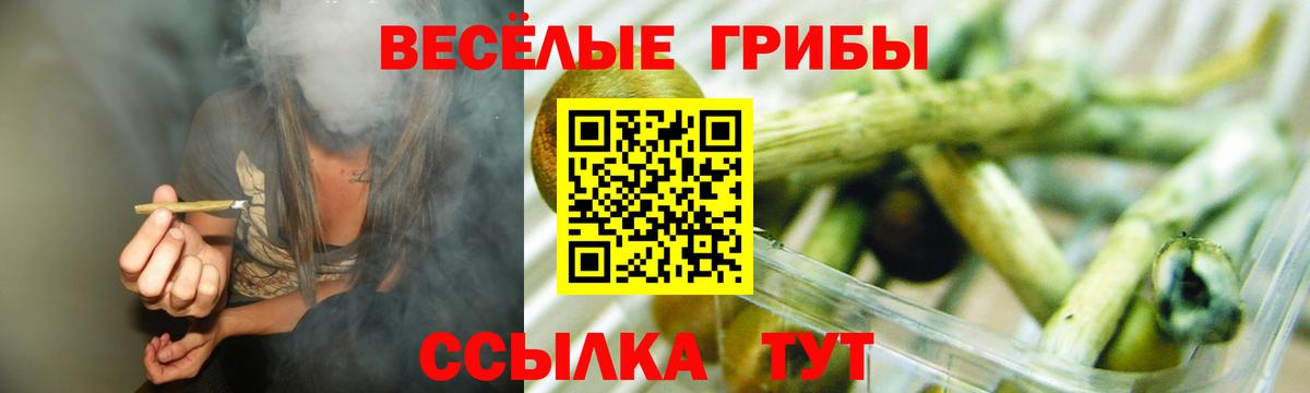 Псилоцибиновые грибы прущие грибы  Вход с VPN  Моршанск 